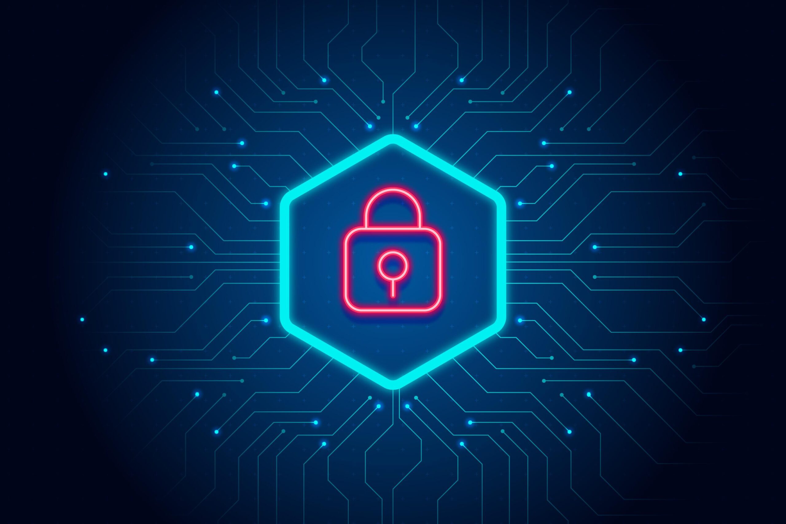 How Businesses Can Protect Their Data